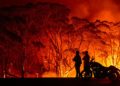 austraila bushfire