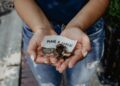 nonprofit remote work