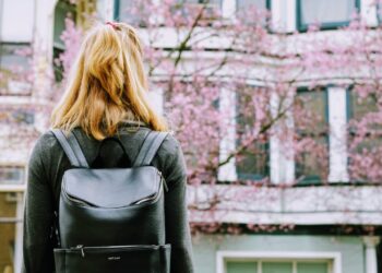 business backpack