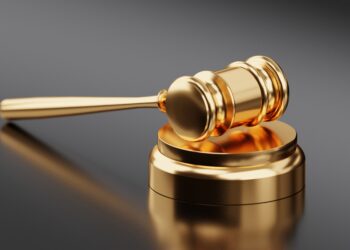 Auction Strategies
